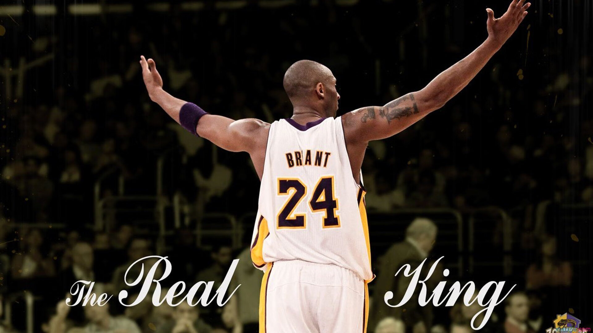 “2025世界运动会:高新体育中心篮球赛成赛事热点”